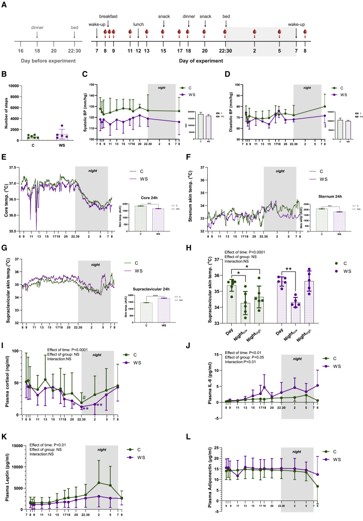 Figure 4