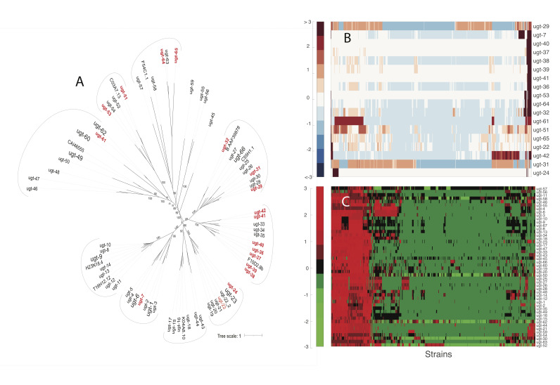 
Figure 1.

ugt
variation in
C. elegans

