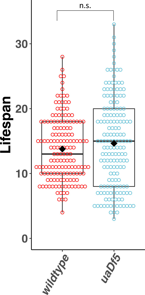 Figure 1—figure supplement 2.