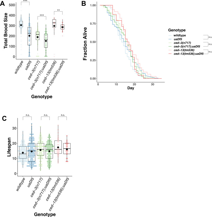 Figure 2—figure supplement 4.