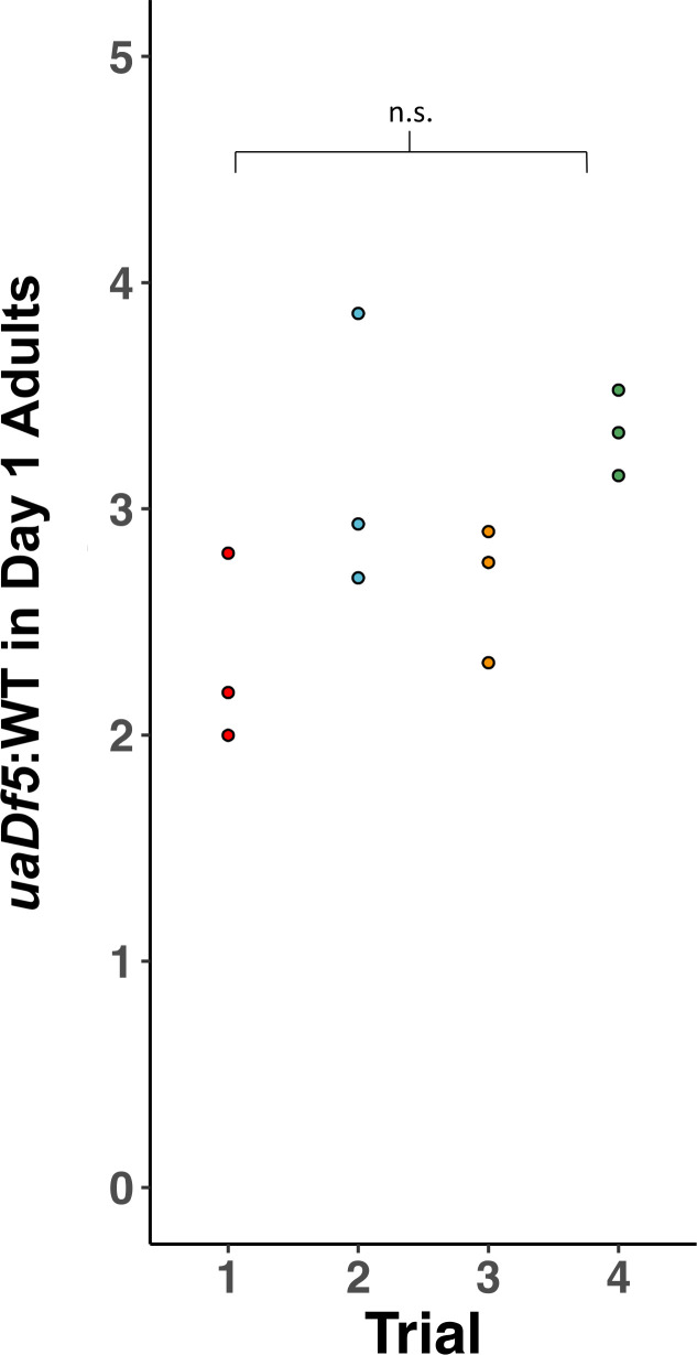 Figure 2—figure supplement 1.