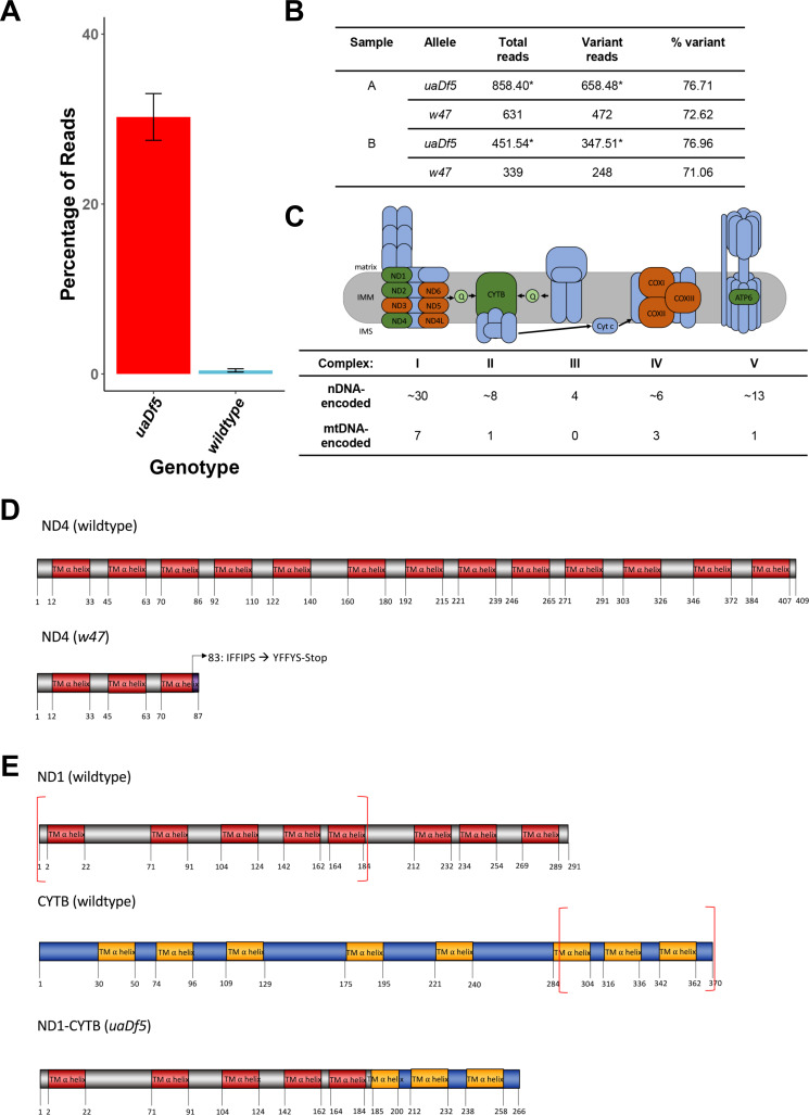 Figure 1—figure supplement 1.