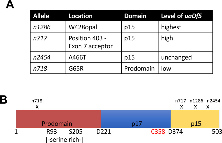 Figure 2—figure supplement 3.