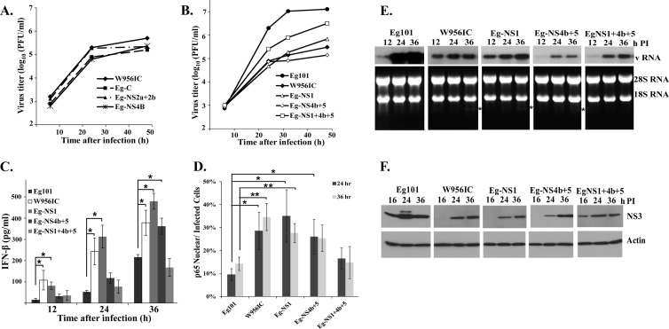 Fig 9