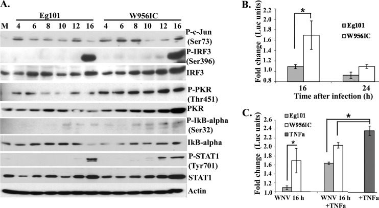 Fig 4