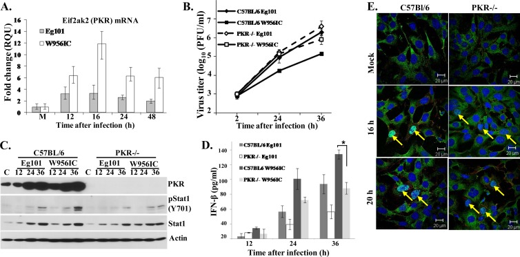 Fig 6