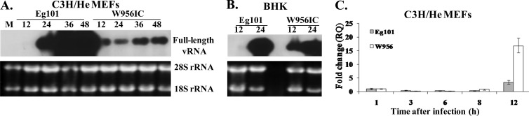 Fig 8