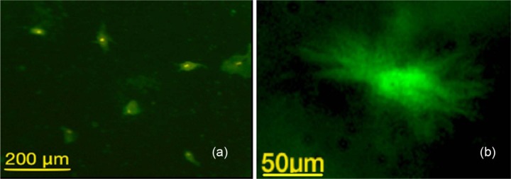 Figure 11.