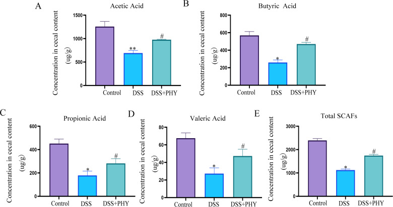 Bar graphs display concentrations of acetic, butyric, propionic, valeric acids, and total SCFAs in cecal content. PHY treatment significantly restores DSS-reduced SCFA levels, indicating its role in modulating gut microbiota metabolites.
