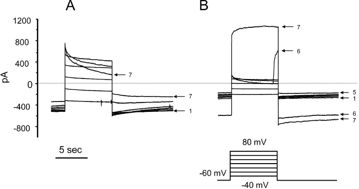 Figure 3. 