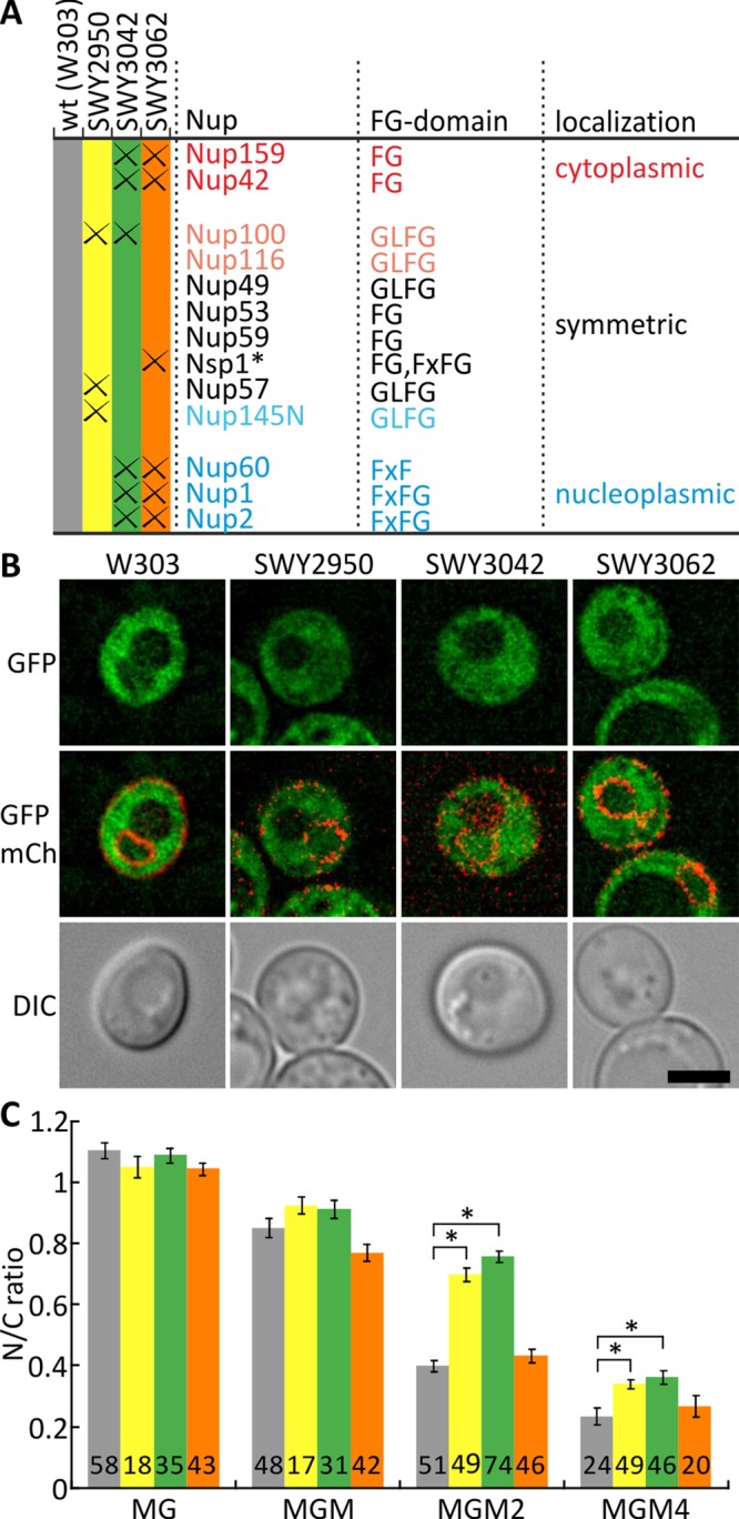 FIGURE 3: