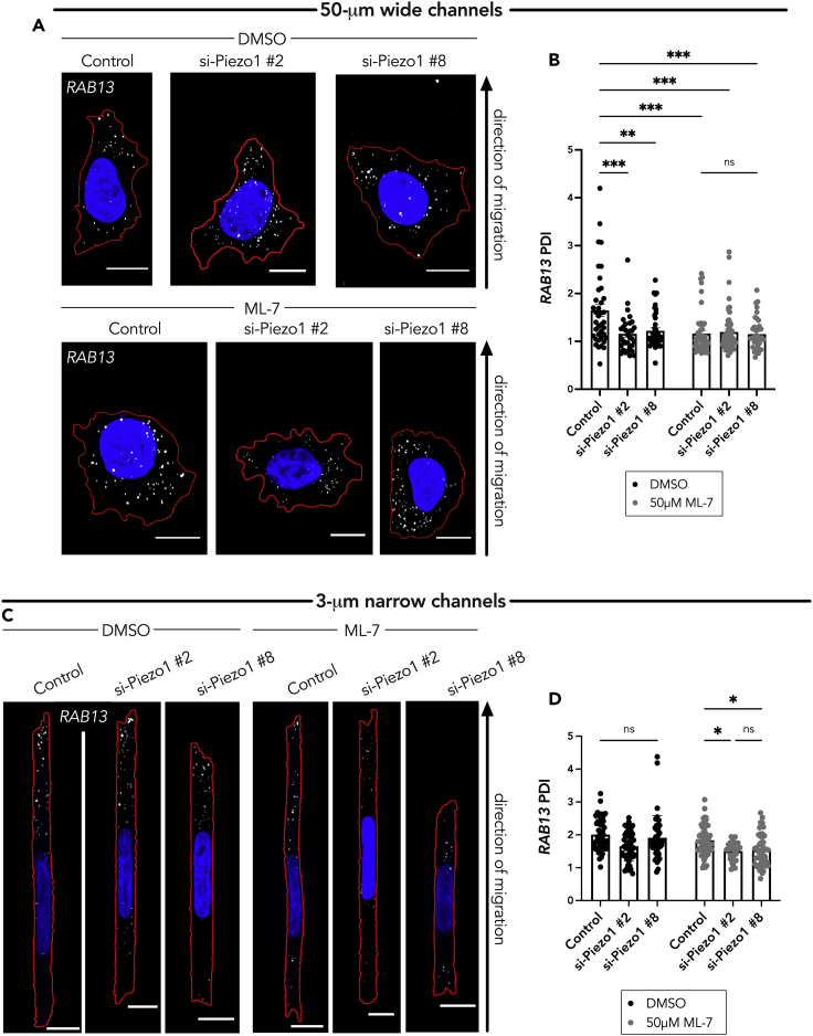 Figure 5