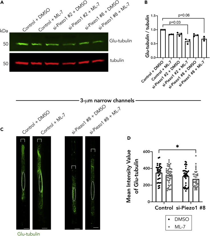 Figure 6