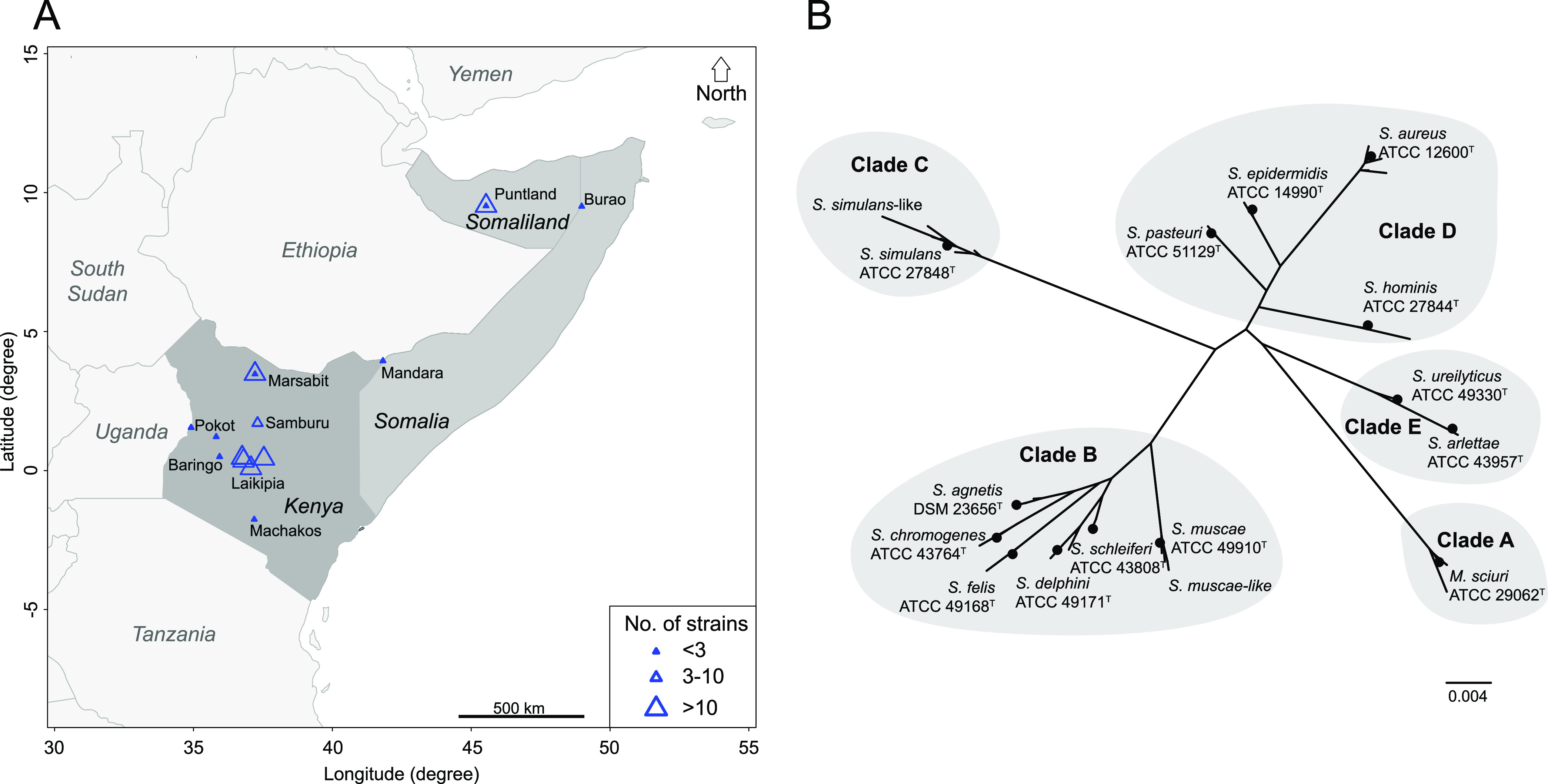 FIG 1