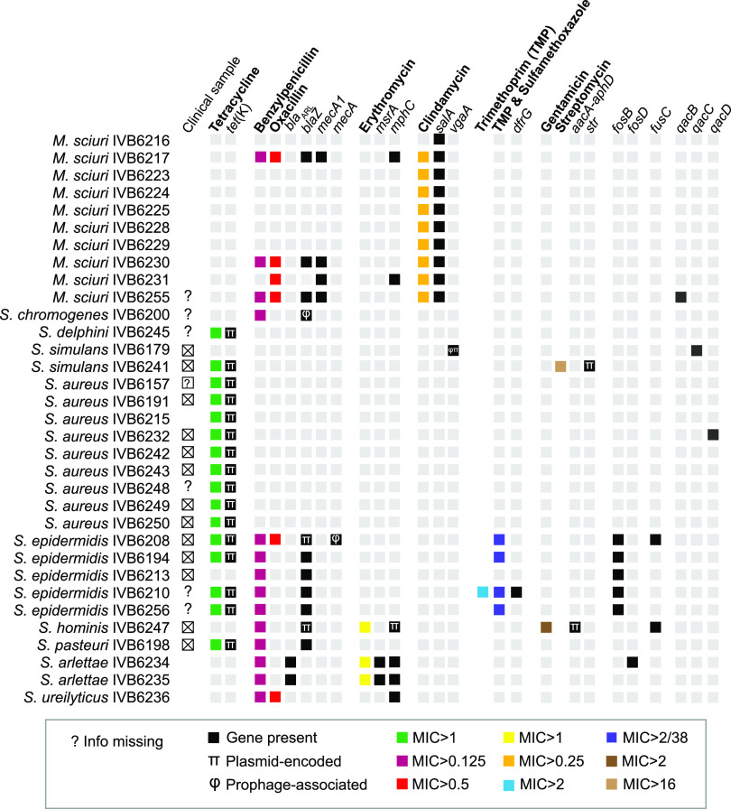 FIG 2