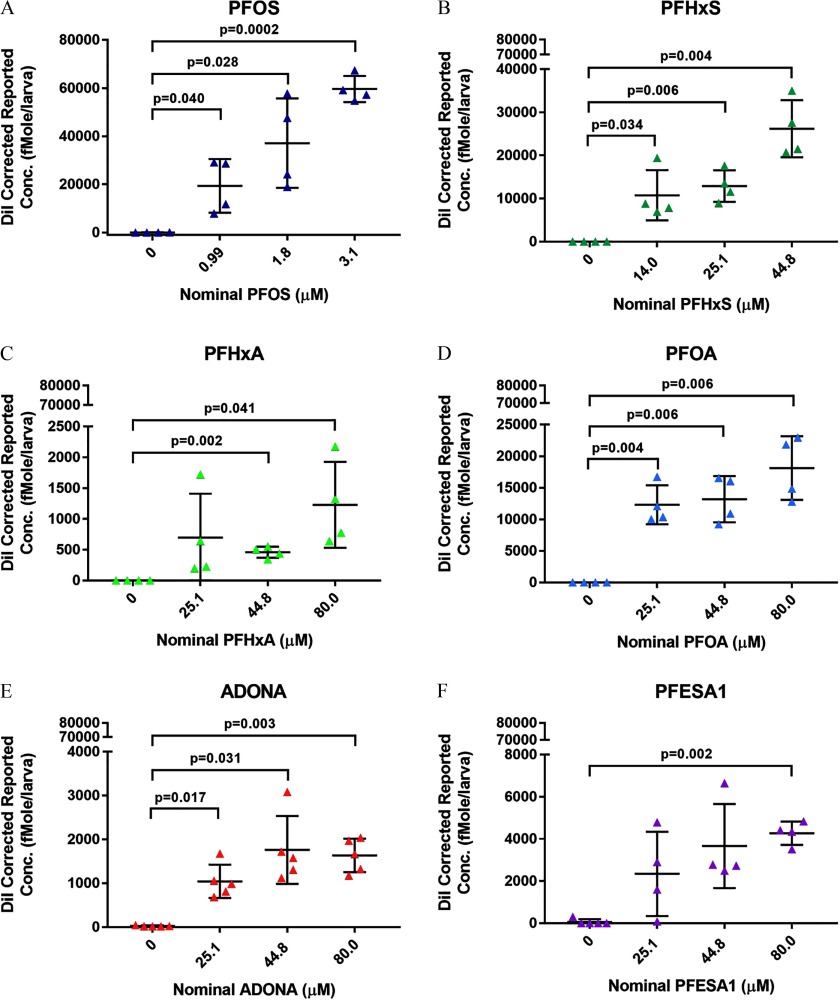 Figure 5A is a graph titled PFOS, plotting dilution corrected reported concentration, ranging from 0 to 80000 femtomoles per larva (y-axis), with DMSO vs. 0.99 micromolar PFOS, p-value equals 0.040; DMSO vs. 1.8 micromolar PFOS, p-value equals 0.028; and DMSO vs. 3.1 micromolar PFOS, p-value equals 0.0002, ranging from 0.0 to 3.1 micromolar (x-axis). Figure 5B is a graph titled PFHxS, plotting dilution corrected reported concentration, ranging from 0 to 80000 femtomoles per larva (y-axis), for DMSO vs. 14.0 micromolar PFHxS, p-value equals 0.034; DMSO vs. 25.1 micromolar PFHxS, p-value equals 0.006; and DMSO vs. 44.8 micromolar PFHxS, p-value equals 0.004, ranging from 0.0 to 44.8 micromolar (x-axis). Figures 5C, 5D, 5E, and 5F are graphs titled PFHxA, PFOA, ADONA, or PFESA1, plotting dilution corrected reported concentration, ranging from 0 to 80000 femtomoles per larva (y-axis), for DMSO vs. 44.8 micromolar PFHxA, p-value equals 0.002; DMSO vs. 80.0 micromolar PFHxA, p-value equals 0.041; DMSO vs. 25.1 micromolar PFOA, p-value equals 0.004; DMSO vs. 44.8 micromolar PFOA, p-value equals 0.006; DMSO vs. 80.0 micromolar PFOA, p-value equals 0.006; DMSO vs. 25.1 micromolar ADONA, p-value equals 0.017; DMSO vs. 44.8 micromolar ADONA, p-value equals 0.031; DMSO vs. 80.0 micromolar ADONA, p-value equals 0.003; and DMSO vs. 80.0 micromolar PFESA1, p-value equals 0002, ranging from 0.0 to 80.0 micromolar (x-axis).