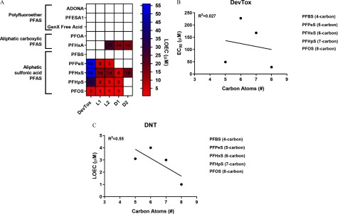 Figure 9A is a heatmap plot of polyfluoroether PFAS, aliphatic carboxylic PFAS, and aliphatic sulfonic acid PFAS (y-axis) across DevTox, L1, L2, D1, and D2 (x-axis), with a scale marking LOEC, ranging from 5 to 55 micromolar in increments of 5. Figures 9B (DevTox with R squared equals 0.027) and 9C (DNT with R squared equals 0.55) are graphs, plotting EC subscript 50, ranging from 0 to 250 micromolar in increments of 50 and LOEC, ranging from 0 to 5 micromolar (y-axis) for PFBS (4 carbon), PFPeS (5 carbon), PFHxS (6 carbon), PFHpS (7 carbon), PFOS (8 carbon) across carbon atoms number, ranging from 3 to 9 (x-axis).