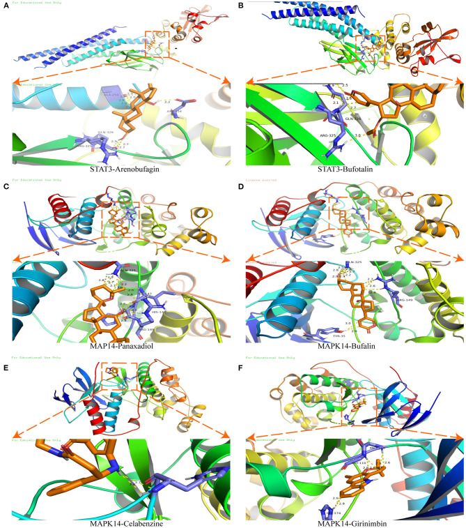 Figure 6