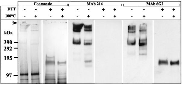 FIG. 9