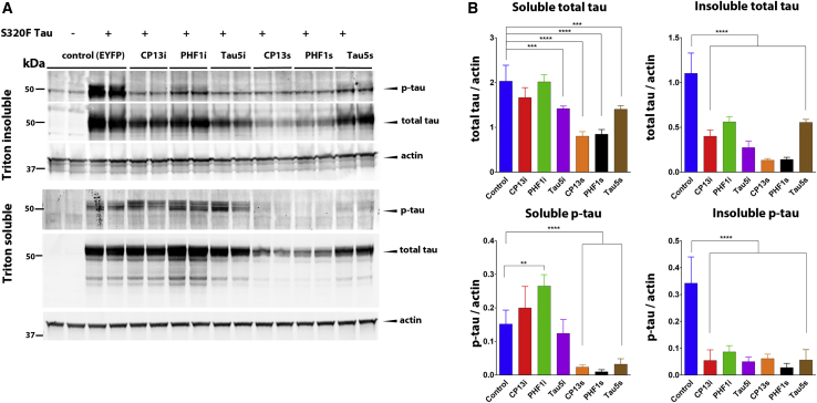 Figure 2