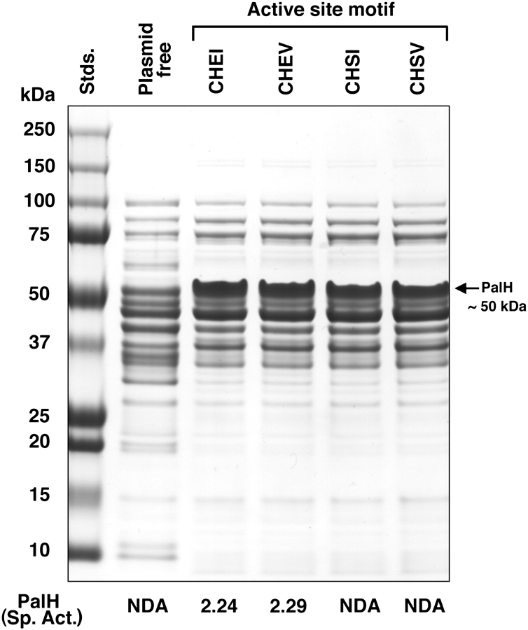 FIG. 7.—