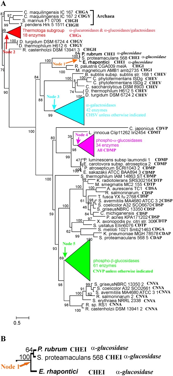 FIG. 1.—