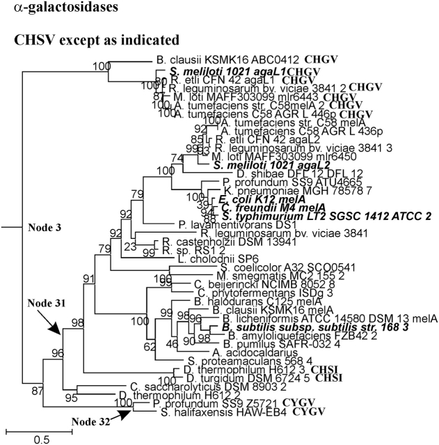 FIG. 3.—