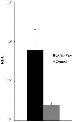 Fig. 1