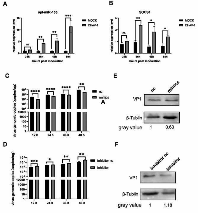 Fig. 10