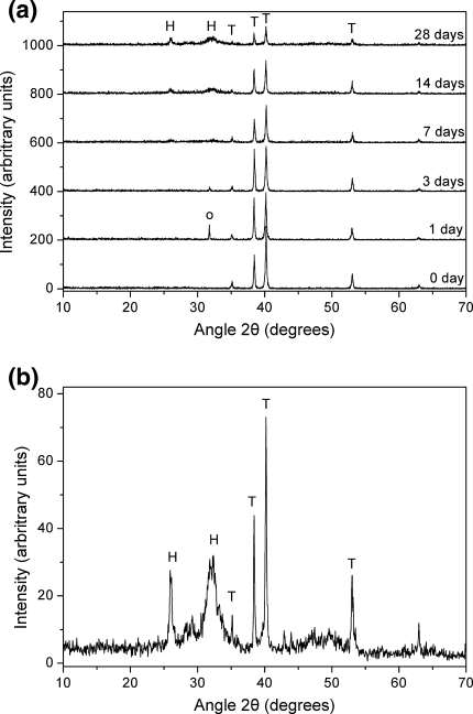 Fig. 5