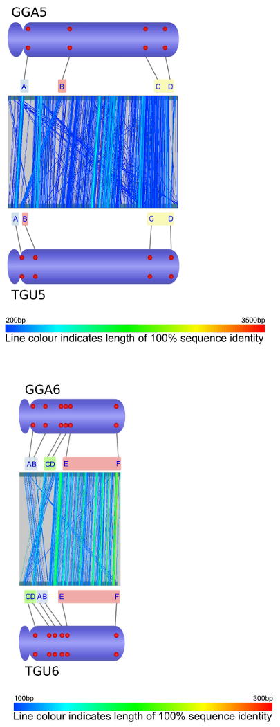 Accessory Figure 3