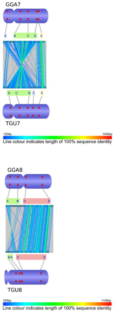 Accessory Figure 3