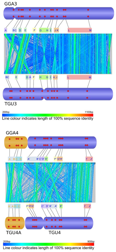 Accessory Figure 3