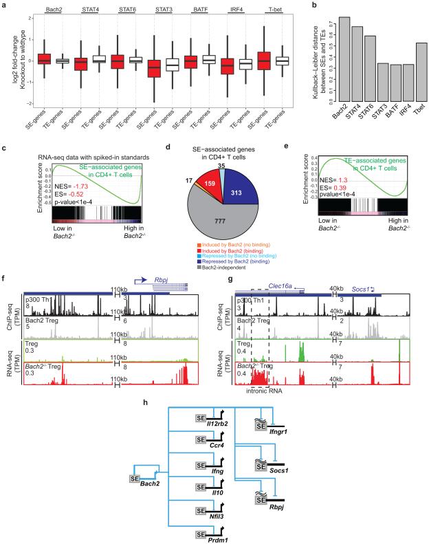 Extended Data Figure 4