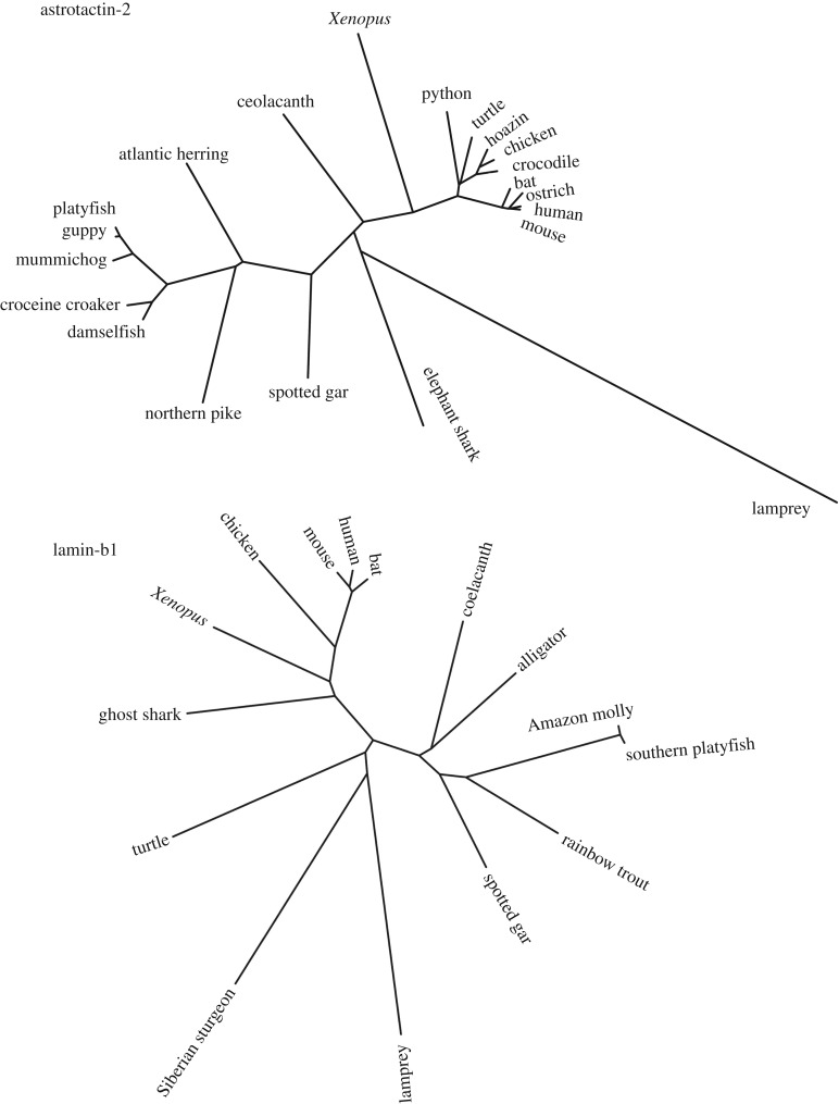 Figure 5.