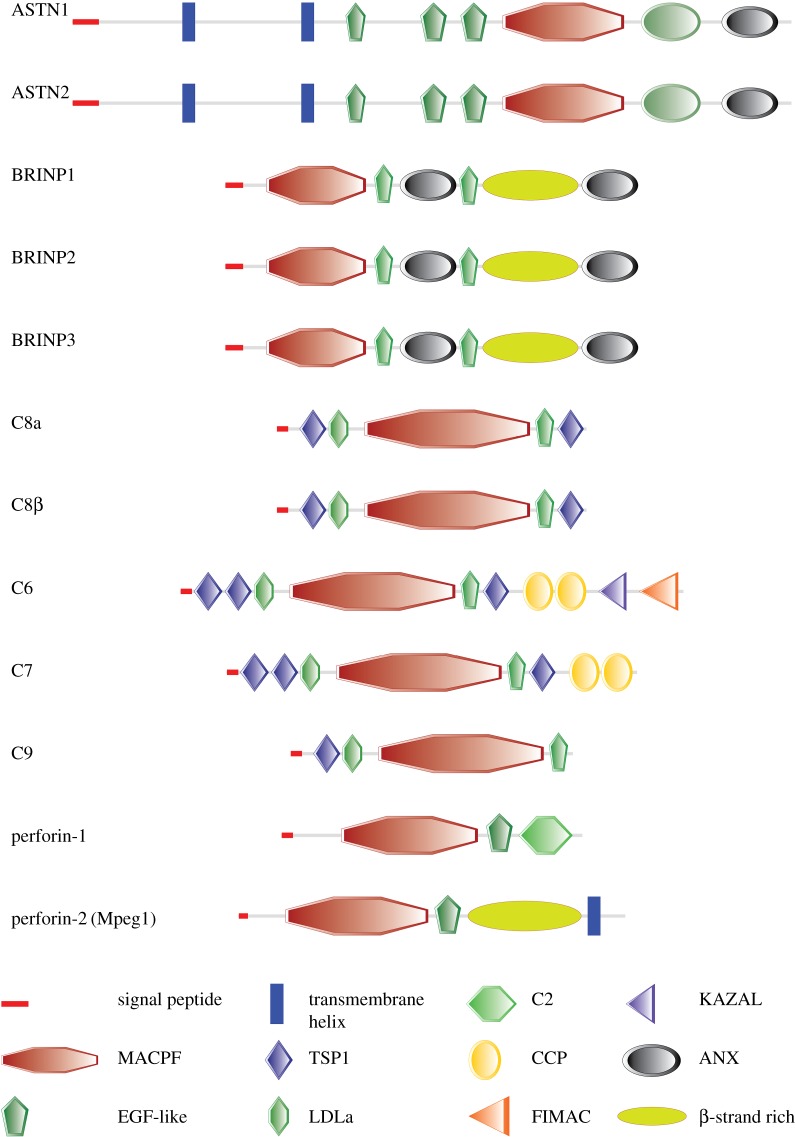 Figure 2.