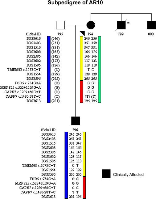 Figure 6