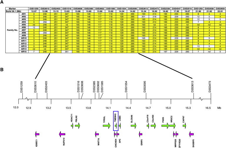 Figure 3