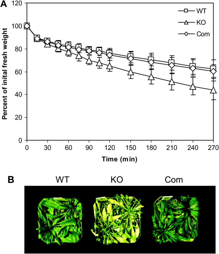 Figure 6.