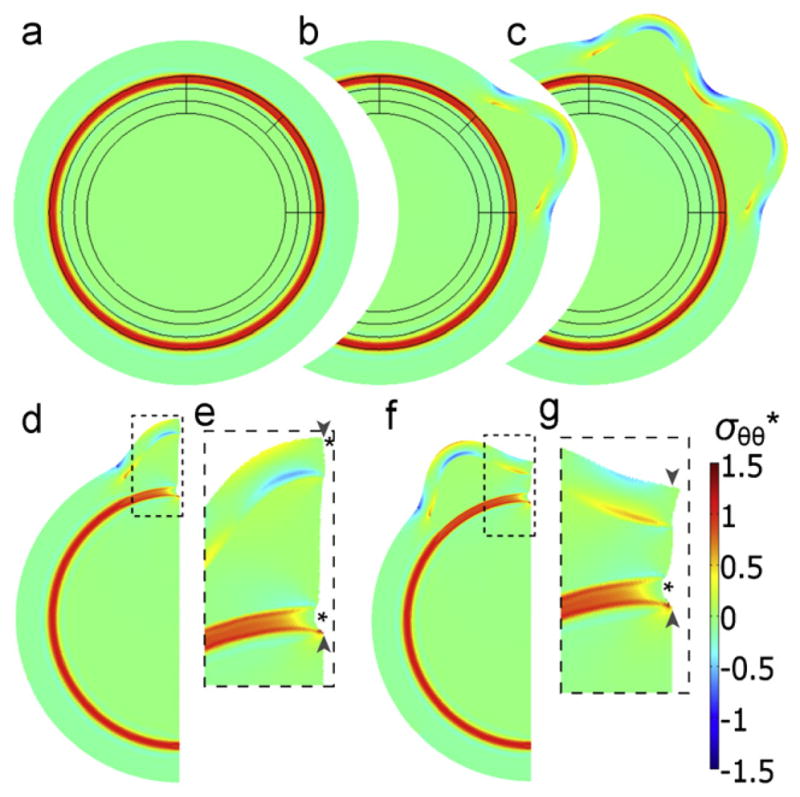 Fig. 13