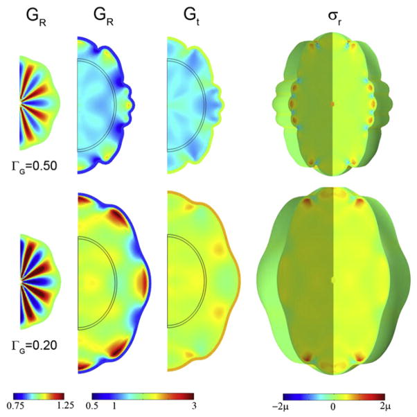 Fig. 12