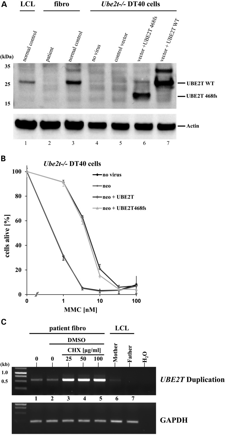 Figure 3.