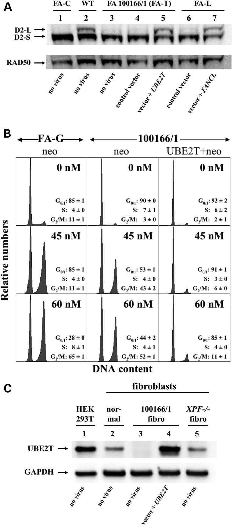 Figure 1.