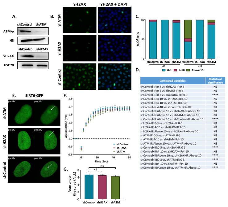 Figure 1—figure supplement 2.