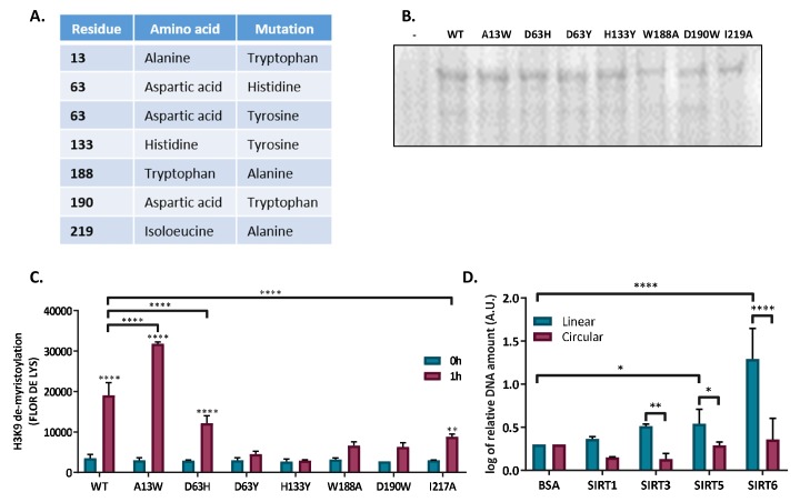 Figure 4—figure supplement 1.