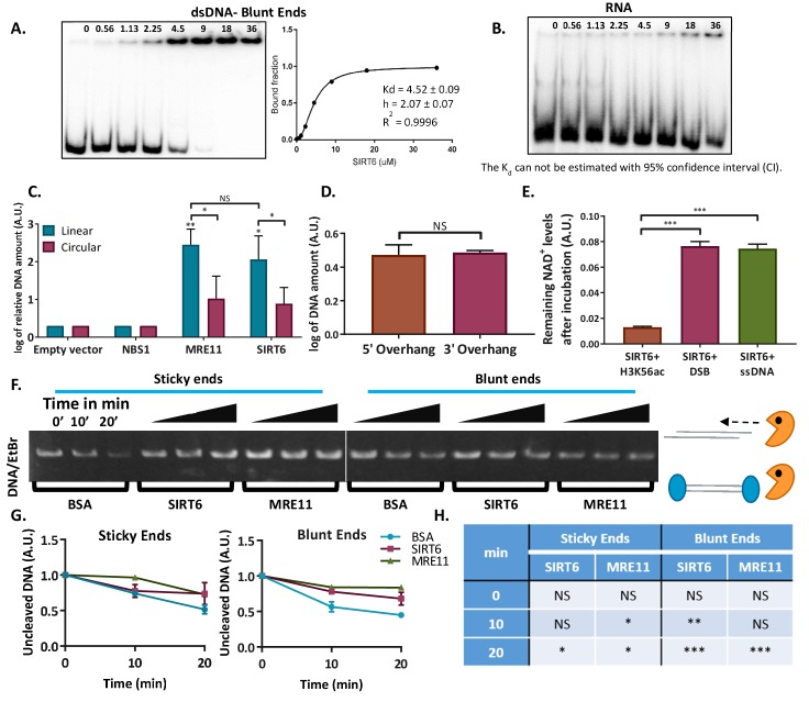 Figure 3—figure supplement 1.