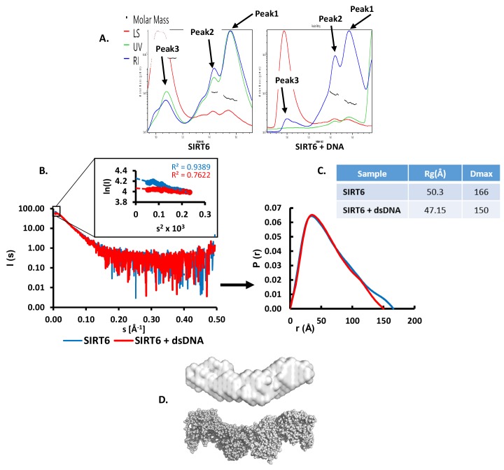 Figure 3—figure supplement 2.