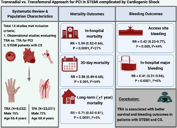 Graphical Abstract