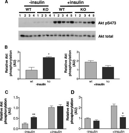 FIG. 10.