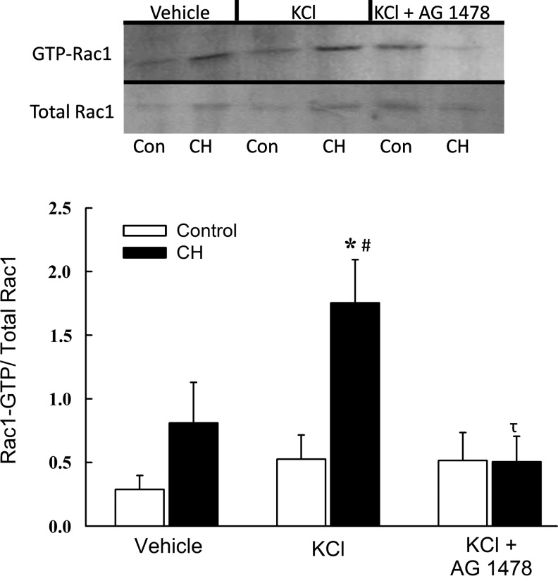 FIG. 9.